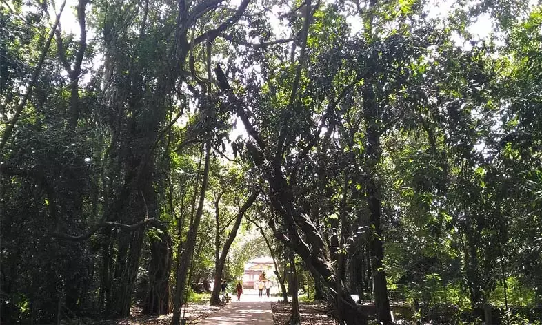 നഗരവാരിധി നടുവില്‍ ഒരു ഹരിതാഭ;  ഇവിടെയുണ്ട് നീലേശ്വരത്തിന്റെ ശ്വാസകോശം