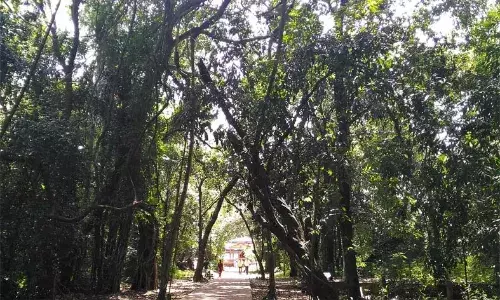 നഗരവാരിധി നടുവില് ഒരു ഹരിതാഭ;  ഇവിടെയുണ്ട് നീലേശ്വരത്തിന്റെ ശ്വാസകോശം നഗരവാരിധി നടുവില് ഒരു ഹരിതാഭ;  ഇവിടെയുണ്ട് നീലേശ്വരത്തിന്റെ ശ്വാസകോശം
