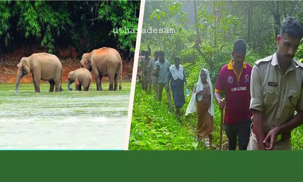 14 മണിക്കൂര്‍ കൊടുംകാട്ടില്‍ ഇരുട്ടില്‍..  ഒടുവില്‍ ആശ്വാസത്തിന്റെ നെടുവീര്‍പ്പ്