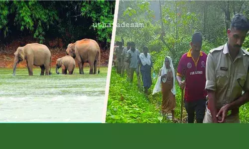 14 മണിക്കൂര്‍ കൊടുംകാട്ടില്‍ ഇരുട്ടില്‍..  ഒടുവില്‍ ആശ്വാസത്തിന്റെ നെടുവീര്‍പ്പ്
