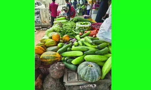 പച്ചക്കറി വില കുതിക്കുന്നു; മുരിങ്ങക്കായക്ക് കിലോ 500 കടന്നു