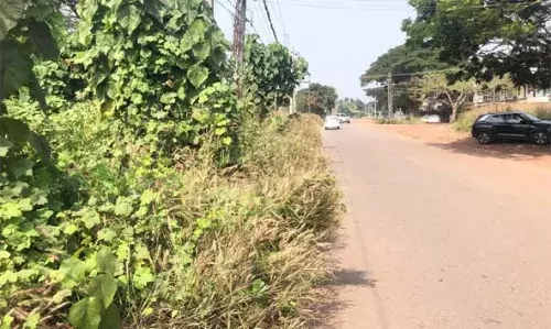 വൈദ്യുതി സബ് സ്റ്റേഷന് സമീപം പന്തലിച്ച് കാട്; ഭീതിയോടെ നാട്ടുകാര്‍