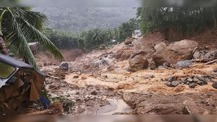 വയനാട് ഉരുൾപൊട്ടൽ : പ്രത്യേക മന്ത്രിസഭ യോഗം ഇന്ന്; പുനരധിവാസം ചർച്ച ചെയ്യും