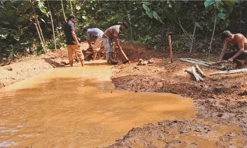 വന്യമൃഗങ്ങള് കാടിറങ്ങുന്നത് തടയാന് വിവിധ പദ്ധതികളുമായി വനം വകുപ്പ് വന്യമൃഗങ്ങള് കാടിറങ്ങുന്നത് തടയാന് വിവിധ പദ്ധതികളുമായി വനം വകുപ്പ്