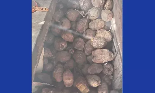 തേങ്ങ വില സര്വ്വകാല റെക്കോര്ഡില്; ഉല്പാദനം കുറഞ്ഞതില് കര്ഷകര്ക്ക് നിരാശ തേങ്ങ വില സര്വ്വകാല റെക്കോര്ഡില്; ഉല്പാദനം കുറഞ്ഞതില് കര്ഷകര്ക്ക് നിരാശ