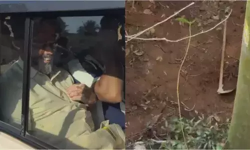 നിധി തേടി കിണറിൽ ഇറങ്ങി; പഞ്ചായത്ത് വൈസ് പ്രസിഡൻ്റടക്കം അഞ്ച് പേർ പിടിയിൽ നിധി തേടി കിണറിൽ ഇറങ്ങി; പഞ്ചായത്ത് വൈസ് പ്രസിഡൻ്റടക്കം അഞ്ച് പേർ പിടിയിൽ