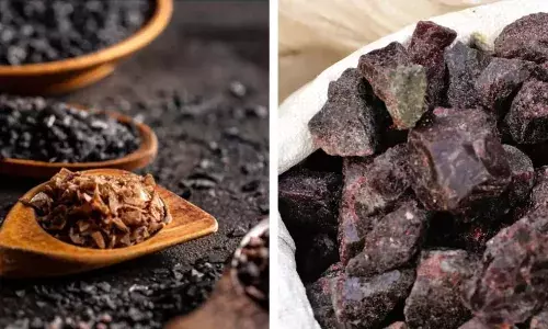 കൊറിയന് ബാംബൂ സാള്ട്ട് ചില്ലറക്കാരനല്ല; ശരീരത്തിന് മികച്ച സംരക്ഷണം കൊറിയന് ബാംബൂ സാള്ട്ട് ചില്ലറക്കാരനല്ല; ശരീരത്തിന് മികച്ച സംരക്ഷണം