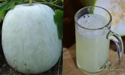 കറിയുണ്ടാക്കാന് മാത്രമല്ല, വയറും തടിയും കുറയ്ക്കാന് കുമ്പളങ്ങ ബെസ്റ്റ് കറിയുണ്ടാക്കാന് മാത്രമല്ല, വയറും തടിയും കുറയ്ക്കാന് കുമ്പളങ്ങ ബെസ്റ്റ്