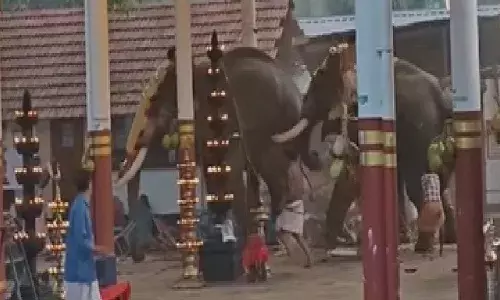 കൊയിലാണ്ടിയിൽ ആനകളിടഞ്ഞു : മൂന്നുപേർക്ക് ദാരുണാന്ത്യം; നിരവധി പേർക്ക് പരിക്ക് കൊയിലാണ്ടിയിൽ ആനകളിടഞ്ഞു : മൂന്നുപേർക്ക് ദാരുണാന്ത്യം; നിരവധി പേർക്ക് പരിക്ക്