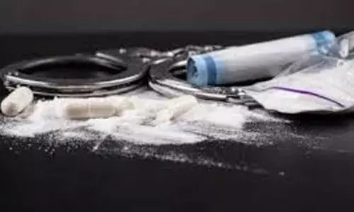 കസ്റ്റഡിയിലെടുക്കുന്നതിനിടെ യുവാവ് പൊലീസിനെ അക്രമിച്ചു; പരിശോധനയില് എം.ഡി.എം.എ കണ്ടെടുത്തു കസ്റ്റഡിയിലെടുക്കുന്നതിനിടെ യുവാവ് പൊലീസിനെ അക്രമിച്ചു; പരിശോധനയില് എം.ഡി.എം.എ കണ്ടെടുത്തു