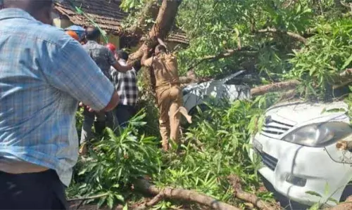 പുതിയ കോട്ടയില് വന് ആല്മരം പൊട്ടിവീണ് പാര്ക്ക് ചെയ്തിരുന്ന രണ്ട് കാറുകള് തകര്ന്നു പുതിയ കോട്ടയില് വന് ആല്മരം പൊട്ടിവീണ് പാര്ക്ക് ചെയ്തിരുന്ന രണ്ട് കാറുകള് തകര്ന്നു