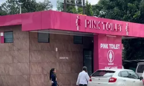 25 ലക്ഷം രൂപ ചെലവില്‍ നിര്‍മിച്ച ബണ്ട്വാളിലെ പിങ്ക്  ടോയ് ലറ്റ് ഉപയോഗശൂന്യമാകുന്നു; പദ്ധതിക്കെതിരെ വ്യാപക വിമര്‍ശനം