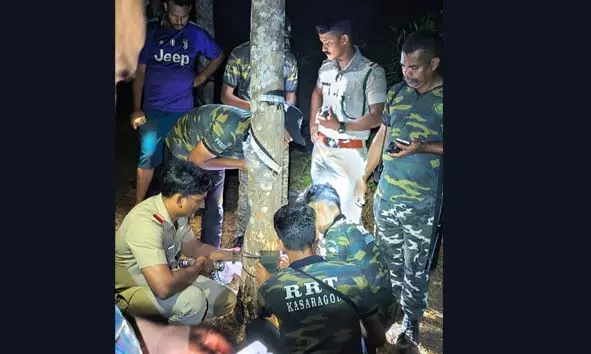 ഒടയംചാലില് വീണ്ടും പുലിയിറങ്ങി; ആടിനെ കടിച്ചുകൊന്നു ഒടയംചാലില് വീണ്ടും പുലിയിറങ്ങി; ആടിനെ കടിച്ചുകൊന്നു