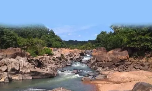 കണ്ണുനട്ടു കാത്തിരുന്നിട്ടും... മണിയംപാറ പാലം ചുവപ്പുനാടയില് തന്നെ കണ്ണുനട്ടു കാത്തിരുന്നിട്ടും... മണിയംപാറ പാലം ചുവപ്പുനാടയില് തന്നെ