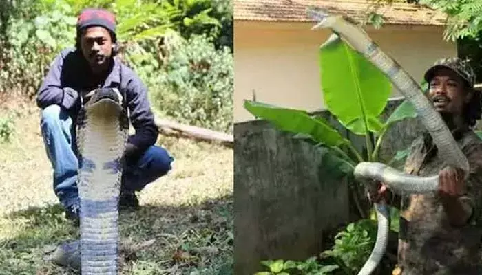 പ്രശസ്ത പാമ്പുപിടുത്തക്കാരന് സന്തോഷ് കുമാര് പാമ്പ് കടിയേറ്റ് മരിച്ചു; അപകടം വീട്ടില് കയറിയ മൂര്ഖനെ പിടിക്കാന് ശ്രമിക്കുന്നതിനിടെ പ്രശസ്ത പാമ്പുപിടുത്തക്കാരന് സന്തോഷ് കുമാര് പാമ്പ് കടിയേറ്റ് മരിച്ചു; അപകടം വീട്ടില് കയറിയ മൂര്ഖനെ പിടിക്കാന് ശ്രമിക്കുന്നതിനിടെ