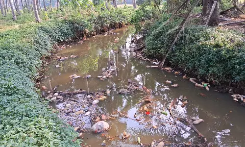 ബങ്കരക്കുന്ന് കുദൂര് തോട്ടില് മലിന ജലം ഒഴുക്കുന്നു; നാട്ടുകാര് രോഗഭീതിയില് ബങ്കരക്കുന്ന് കുദൂര് തോട്ടില് മലിന ജലം ഒഴുക്കുന്നു; നാട്ടുകാര് രോഗഭീതിയില്