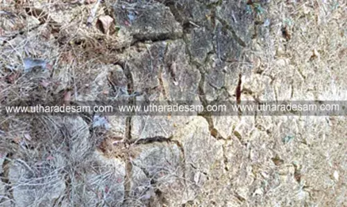 വേനല് ചൂടിന്റെ കാഠിന്യം വര്ധിച്ചു; ജലസ്രോതസുകള് വറ്റി; കര്ഷകര് പ്രതിസന്ധിയില് വേനല് ചൂടിന്റെ കാഠിന്യം വര്ധിച്ചു; ജലസ്രോതസുകള് വറ്റി; കര്ഷകര് പ്രതിസന്ധിയില്