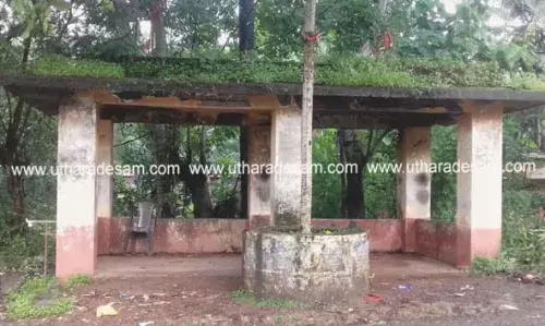 യാത്രക്കാര്ക്ക് ഭീഷണിയായി തകര്ച്ചയുടെ വക്കിലുള്ള കാത്തിരിപ്പ് കേന്ദ്രങ്ങള് യാത്രക്കാര്ക്ക് ഭീഷണിയായി തകര്ച്ചയുടെ വക്കിലുള്ള കാത്തിരിപ്പ് കേന്ദ്രങ്ങള്