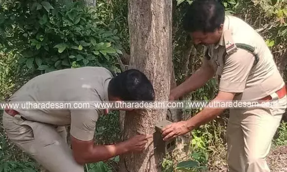 പുല്ലൂര്‍ പെരിയ പഞ്ചായത്തില്‍ വീണ്ടും പുലി സാന്നിധ്യം; പ്രദേശവാസികള്‍ ആശങ്കയില്‍; വനപാലകര്‍ ക്യമാറ സ്ഥാപിച്ചു