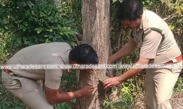 പുല്ലൂര്‍ പെരിയ പഞ്ചായത്തില്‍ വീണ്ടും പുലി സാന്നിധ്യം; പ്രദേശവാസികള്‍ ആശങ്കയില്‍; വനപാലകര്‍ ക്യമാറ സ്ഥാപിച്ചു