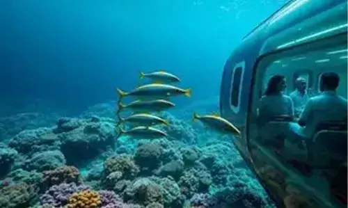 RAILWAY | ഇന്ത്യയില്‍ നിന്ന് ദുബായിലേക്ക് 2 മണിക്കൂറില്‍ എത്താം; വെള്ളത്തിനടിയിലൂടെ മണിക്കൂറില്‍ 1000 കിലോമീറ്റര്‍ വേഗത്തില്‍ സഞ്ചരിക്കുന്ന ട്രെയിനില്‍ യാത്രക്കാരെ മാത്രമല്ല വെള്ളവും ഇന്ധനവുമെല്ലാം കൊണ്ടുപോകാം