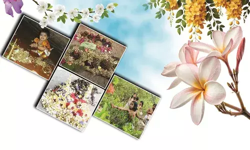 വസന്തോത്സവമാണ് പൂരം... വസന്തോത്സവമാണ് പൂരം...