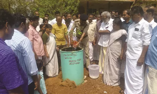 മുന്നാട് പീപ്പിള്സ് കോളേജില് ഇനി ഫ്രൂട്ട്സ് ഗാര്ഡനും മുന്നാട് പീപ്പിള്സ് കോളേജില് ഇനി ഫ്രൂട്ട്സ് ഗാര്ഡനും