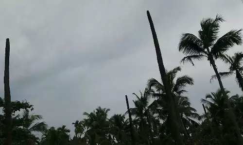 കാര്ഷിക ഉല്പ്പന്നങ്ങള്ക്ക് വില കൂടുമ്പോള് ഉല്പ്പാദനം കുറവ്; കണ്ണീരൊഴിയാതെ കര്ഷകര് കാര്ഷിക ഉല്പ്പന്നങ്ങള്ക്ക് വില കൂടുമ്പോള് ഉല്പ്പാദനം കുറവ്; കണ്ണീരൊഴിയാതെ കര്ഷകര്