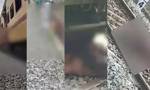 പാലക്കാട് ട്രെയിന്‍ ഇടിച്ച് 17 പശുക്കള്‍ കൂട്ടത്തോടെ ചത്തു