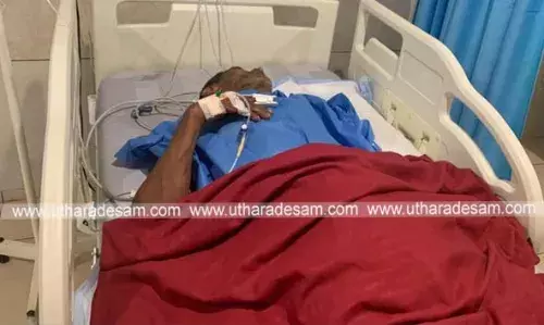 പ്രദേശവാസികളെ ഭീതിയിലാഴ് ത്തി ദേലംപാടിയിലെ കാട്ടുപോത്തിന്റെ ആക്രമണം; കുത്തേറ്റ് കര്‍ഷകന് പരിക്ക്