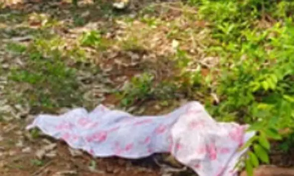 പുത്തൂരില്‍ കാട്ടാനയുടെ ആക്രമണത്തില്‍ 65 കാരി കൊല്ലപ്പെട്ടു