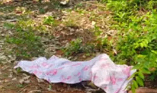 പുത്തൂരില് കാട്ടാനയുടെ ആക്രമണത്തില് 65 കാരി കൊല്ലപ്പെട്ടു പുത്തൂരില് കാട്ടാനയുടെ ആക്രമണത്തില് 65 കാരി കൊല്ലപ്പെട്ടു