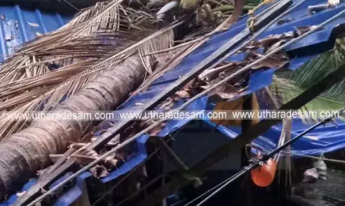 പുല്ലൂര്‍ കേളോത്ത് വീടിന് മുകളില്‍ തെങ്ങ് വീണു: വരാന്തയില്‍ ഇരിക്കുകയായിരുന്ന ദമ്പതികളും ചെറുമകനും അത്ഭുതകരമായി രക്ഷപ്പെട്ടു