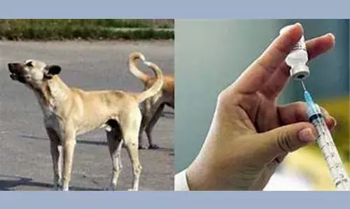 യഥാസമയം വാക്‌സിനെടുത്തിട്ടും സംസ്ഥാനത്ത് വീണ്ടും പേവിഷബാധ; 7 വയസുകാരി എസ്.എ.ടി ആശുപത്രിയില്‍