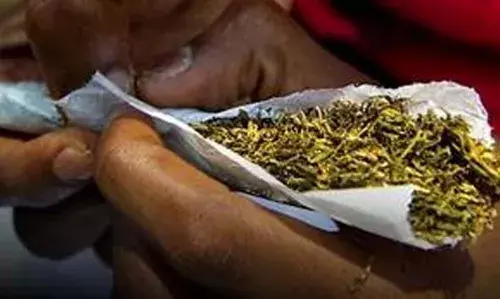 തച്ചങ്ങാട് കള്ളുഷാപ്പിന് സമീപം കഞ്ചാവുമായി യുവാവ്  പിടിയില്‍