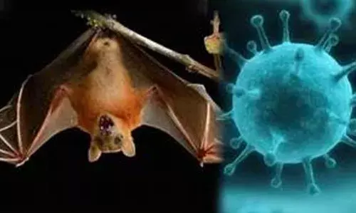 เดเตเดฐเดณเดคเตเดคเดฟเดฒเตโ เดตเตเดฃเตเดเตเด เดจเดฟเดช; เดธเตเดฅเดฟเดฐเตเดเดฐเดฟเดเตเดเดคเต เดตเดณเดพเดเตเดเตเดฐเดฟ เดธเตเดตเดฆเตเดถเดฟเดฏเดพเดฏ 42 เดเดพเดฐเดฟเดเตเดเต เดเตเดฐเดณเดคเตเดคเดฟเดฒเตโ เดตเตเดฃเตเดเตเด เดจเดฟเดช; เดธเตเดฅเดฟเดฐเตเดเดฐเดฟเดเตเดเดคเต เดตเดณเดพเดเตเดเตเดฐเดฟ เดธเตเดตเดฆเตเดถเดฟเดฏเดพเดฏ 42 เดเดพเดฐเดฟเดเตเดเต