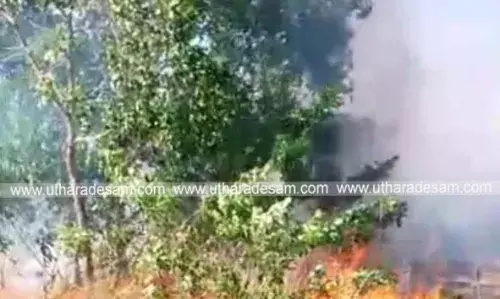 നീര്ച്ചാല് മെണസിന പാറയില് തീപിടിത്തം നീര്ച്ചാല് മെണസിന പാറയില് തീപിടിത്തം