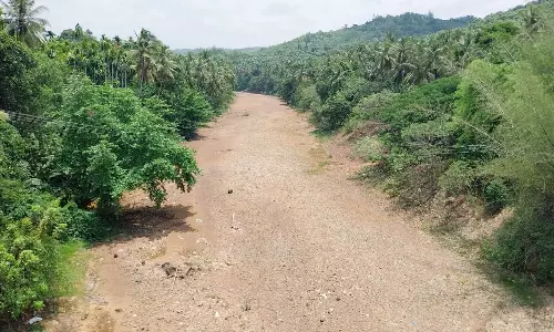 പുഴകളും ജലസ്രോതസുകളും വറ്റിവരണ്ടു; ഗ്രാമീണ പ്രദേശങ്ങളില്‍ കുടിവെള്ളത്തിനായി നെട്ടോട്ടം
