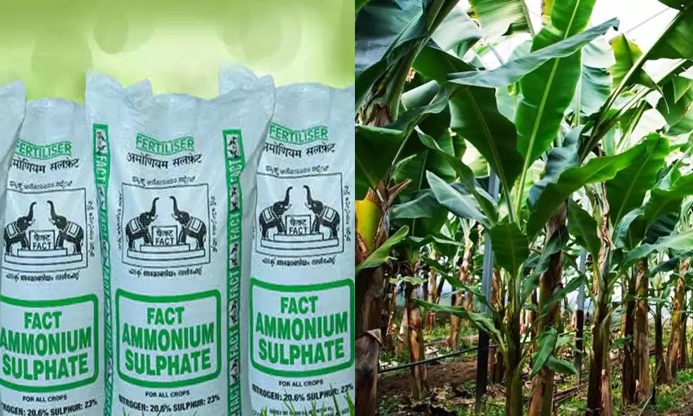 രാസവളങ്ങളുടെ വില കുതിച്ചുയരുന്നു; കര്ഷകര് ആശങ്കയില് രാസവളങ്ങളുടെ വില കുതിച്ചുയരുന്നു; കര്ഷകര് ആശങ്കയില്