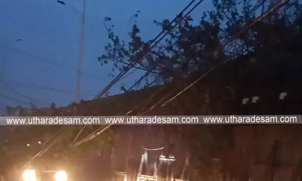 മഴക്കെടുതി: കറന്തക്കാട്  മരം വൈദ്യുതി ലൈനിലേക്ക് വീണു; ഗതാഗതം തടസ്സപ്പെട്ടു