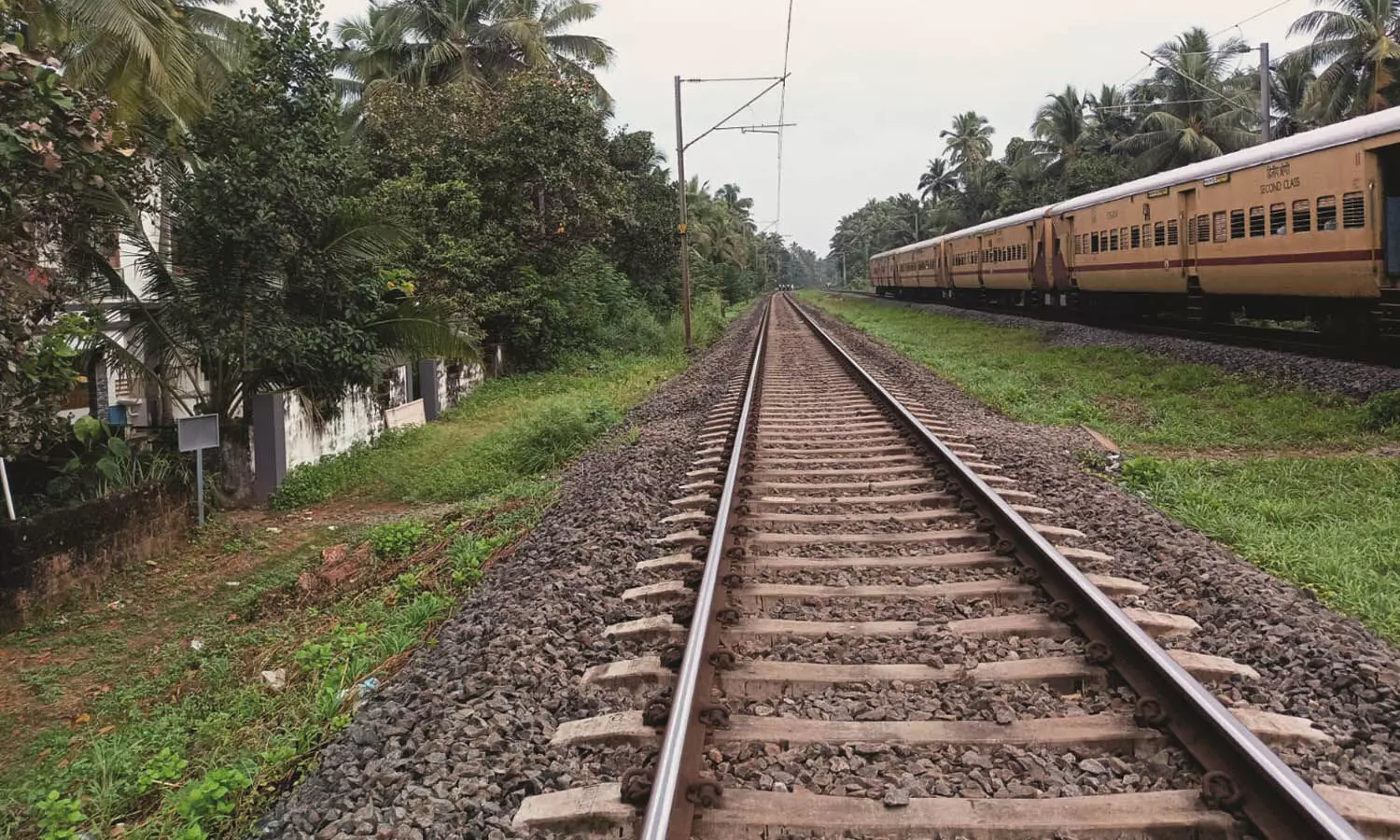 റെയില്പാതാ വശങ്ങളില് സുരക്ഷാവേലി; വഴി മുടങ്ങുമെന്ന ആശങ്കയില് നാട്ടുകാര് റെയില്പാതാ വശങ്ങളില് സുരക്ഷാവേലി; വഴി മുടങ്ങുമെന്ന ആശങ്കയില് നാട്ടുകാര്