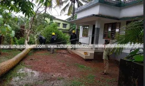 കന്യപ്പാടിയില് വീടിന് സമീപത്തെ മരംകടപുഴകി വീണ് വൈദ്യുതി ലൈന് പൊട്ടി വീണു കന്യപ്പാടിയില് വീടിന് സമീപത്തെ മരംകടപുഴകി വീണ് വൈദ്യുതി ലൈന് പൊട്ടി വീണു
