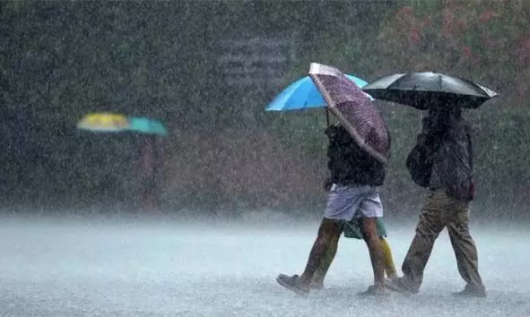 സംസ്ഥാനത്ത് മഴ കനക്കുന്നു; ശക്തമായ കാറ്റില് പലയിടത്തും മരം കടപുഴകി വീണു; വീട് തകര്ന്നു; പലയിടത്തും വന് നാശനഷ്ടങ്ങള് സംസ്ഥാനത്ത് മഴ കനക്കുന്നു; ശക്തമായ കാറ്റില് പലയിടത്തും മരം കടപുഴകി വീണു; വീട് തകര്ന്നു; പലയിടത്തും വന് നാശനഷ്ടങ്ങള്