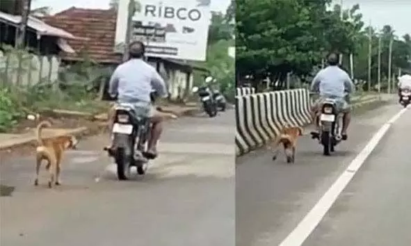 വളര്ത്തുനായയെ മോട്ടോര് സൈക്കിളില് കെട്ടി റോഡിലൂടെ വലിച്ചിഴച്ച് ഉടമയുടെ ക്രൂരത; സമൂഹ മാധ്യമങ്ങളില് വ്യാപക പ്രതിഷേധം വളര്ത്തുനായയെ മോട്ടോര് സൈക്കിളില് കെട്ടി റോഡിലൂടെ വലിച്ചിഴച്ച് ഉടമയുടെ ക്രൂരത; സമൂഹ മാധ്യമങ്ങളില് വ്യാപക പ്രതിഷേധം