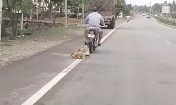 ബൈന്ദൂരില് വളര്ത്തുനായയെ ബൈക്കില് കെട്ടിയിട്ട് ക്രൂരമായി വലിച്ചിഴച്ച സംഭവം; ഉടമക്കെതിരെ സ്വമേധയ കേസെടുത്ത് പൊലീസ് ബൈന്ദൂരില് വളര്ത്തുനായയെ ബൈക്കില് കെട്ടിയിട്ട് ക്രൂരമായി വലിച്ചിഴച്ച സംഭവം; ഉടമക്കെതിരെ സ്വമേധയ കേസെടുത്ത് പൊലീസ്