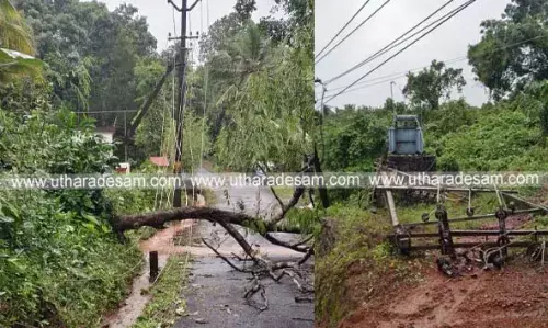 ഇരിയ മണ്ടേങ്ങാനത്ത് മരം പൊട്ടിവീണ് ട്രാന്‍സ് ഫോര്‍മറും പോസ്റ്റുകളും തകര്‍ന്നു; വൈദ്യുതി വിതരണം പൂര്‍ണ്ണമായും നിലച്ചു