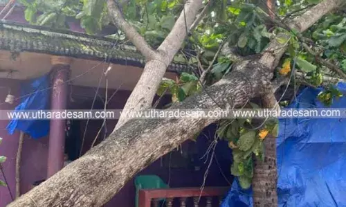 അടുക്കത്ത് ബയലില് വീടിന് മുകളില് മരം വീണു; കുടുംബം അത്ഭുതകരമായി രക്ഷപ്പെട്ടു അടുക്കത്ത് ബയലില് വീടിന് മുകളില് മരം വീണു; കുടുംബം അത്ഭുതകരമായി രക്ഷപ്പെട്ടു