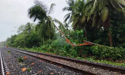 കാസര്കോട്ട് റെയില്വേ ഇലക്ട്രിക്ക് ലൈനിലേക്ക് തെങ്ങ് വീണു കാസര്കോട്ട് റെയില്വേ ഇലക്ട്രിക്ക് ലൈനിലേക്ക് തെങ്ങ് വീണു