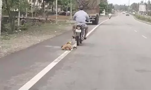 ബൈന്ദൂരില് വളര്ത്തുനായയെ ബൈക്കില് കെട്ടിയിട്ട് ക്രൂരമായി വലിച്ചിഴച്ച സംഭവം; ഉടമക്കെതിരെ സ്വമേധയ കേസെടുത്ത് പൊലീസ് ബൈന്ദൂരില് വളര്ത്തുനായയെ ബൈക്കില് കെട്ടിയിട്ട് ക്രൂരമായി വലിച്ചിഴച്ച സംഭവം; ഉടമക്കെതിരെ സ്വമേധയ കേസെടുത്ത് പൊലീസ്