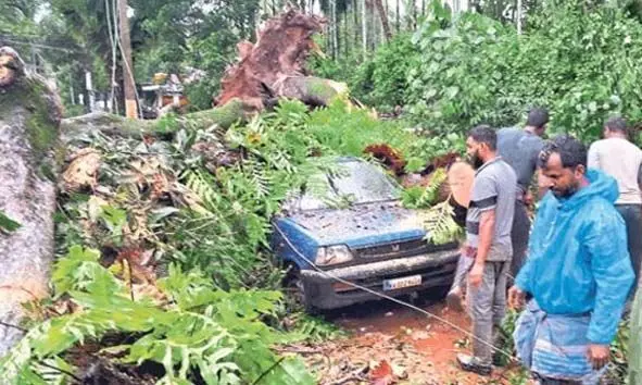 പാര്ക്ക് ചെയ്തിരുന്ന കാറിന് മുകളില് കൂറ്റന് മരം വീണു; വാഹനം പൂര്ണമായും തകര്ന്നു; യാത്രക്കാര് പരിക്കേല്ക്കാതെ രക്ഷപ്പെട്ടു പാര്ക്ക് ചെയ്തിരുന്ന കാറിന് മുകളില് കൂറ്റന് മരം വീണു; വാഹനം പൂര്ണമായും തകര്ന്നു; യാത്രക്കാര് പരിക്കേല്ക്കാതെ രക്ഷപ്പെട്ടു